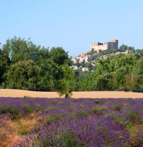 Ferienwohnung Le Provence Gréoux-les-Bains Exterior foto
